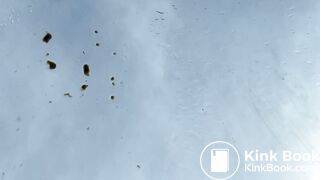 I poop on the glass of my car on holidays in Spain