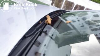 I poop on the glass of my car on holidays in Spain