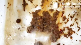 sexy naked blonde has diarrhea and masturbates