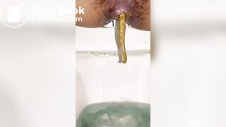 Soft Long Poops in the Toilet