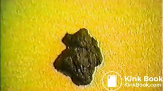 Shiitng while on the phone