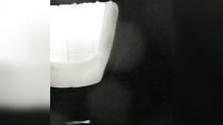 classic hole tualet pooping by unknown