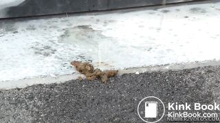 outdoor pooping - video 3