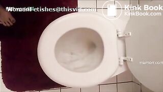 Stand over toilet Poop