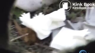 pooping car accident 4