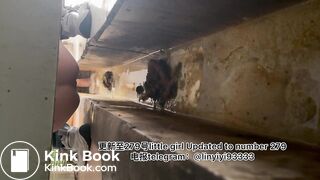 High-quality girls pooping in the toilet 5