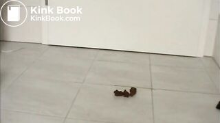 Dutch 30 years old Girl is Pooping in the Bathroom in Different Positions