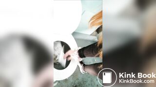 rest stop toilet shit