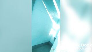 rest stop toilet shit