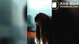 rest stop toilet shit