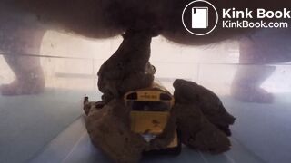 Scat on toy Bus (2)