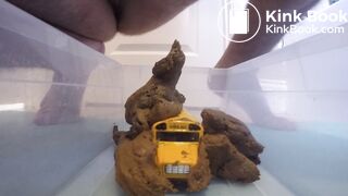 Scat on toy Bus (2)