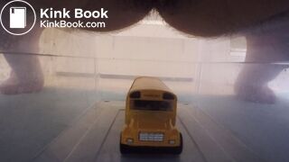 Scat on toy Bus (2)