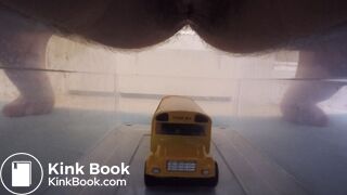Scat on toy Bus (2)