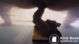 Scat on toy Bus (2)