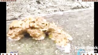 [Sneaky Peek] Japanese Girls Pooping al Fresco Vol. 01