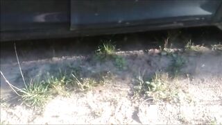 MILF Blowjob with Shit Outdoor