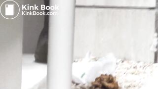 outdoors shitting unusual cleaning 020 (girl cleans with a plastic bag)