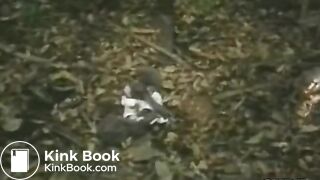 Urgency during picnic