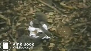 Urgency during picnic