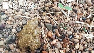 sexy girl shit - video 14