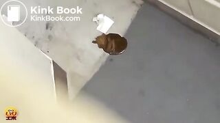 Scat Girls: Tokyo Edition