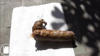 T. Narrow White Ass 4