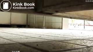 Japanese OL Poop in the public toilet at lunchtime