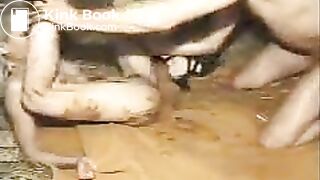 GZ-56 (couple having scat fun)