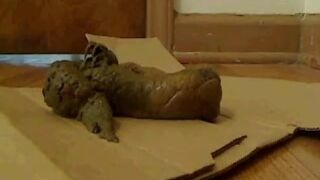 Big load of soft shit on some cardboard.