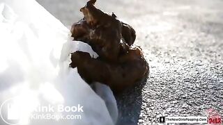 Asian Girl Rooftop Piss and Shit