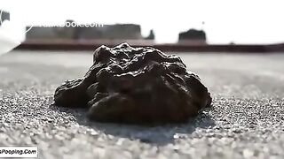 Girl pooping on rooftop 1