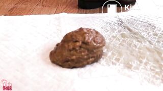 Amazing mount of shit