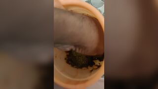 My shitt orgy Indian