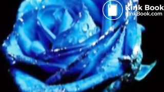 Chinese Mistress Femdom Scat Feeding 01