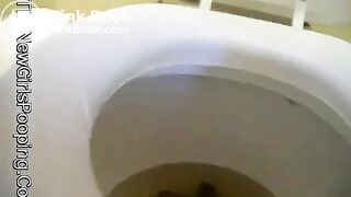 Fiber bar poop clogs the toilet