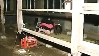 変態カップル