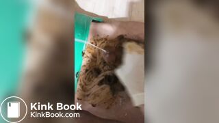 korean scat - video 4