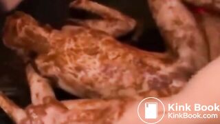 Japanese scat orgy - video 4