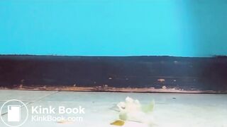 Webcam latina poo fun and pee anal dildo shit ATM