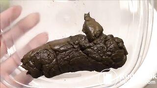 scat beauty - video 2