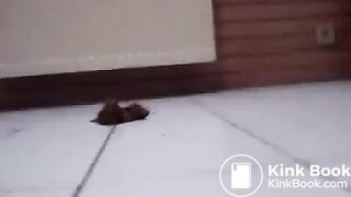 GIRL SHITTING ON HER LONG LEGS, LIQUID SHIT