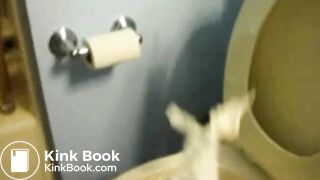 Shit in toilet from a bbw.