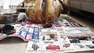 Covered entire body with poop