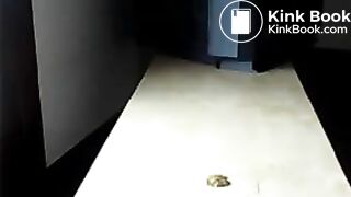Scat Dildo taste