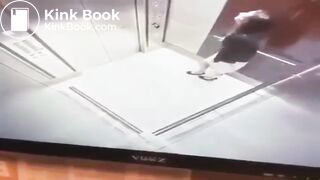 Caught Shitting in Public Compilation