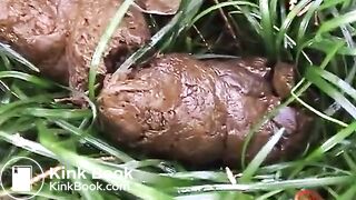 Japanese girls public excretions