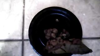 girl pooping out a monster turd