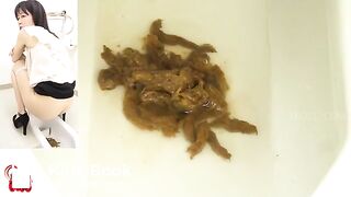 Japanese diarrhea public toilet