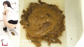 Japanese diarrhea public toilet